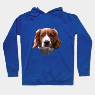 Welsh Springer Spaniel - Gorgeous Dog Hoodie